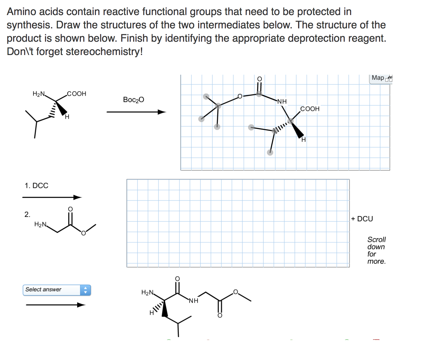 amino functional group