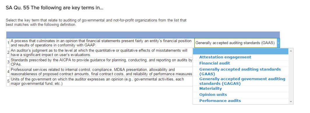 generally accepted auditing standards list