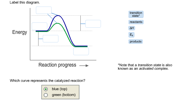 Solved Label this diagram. Energy Reaction progress Which | Chegg.com