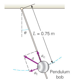 Solved A pendulum swinging in a circular arc under the | Chegg.com