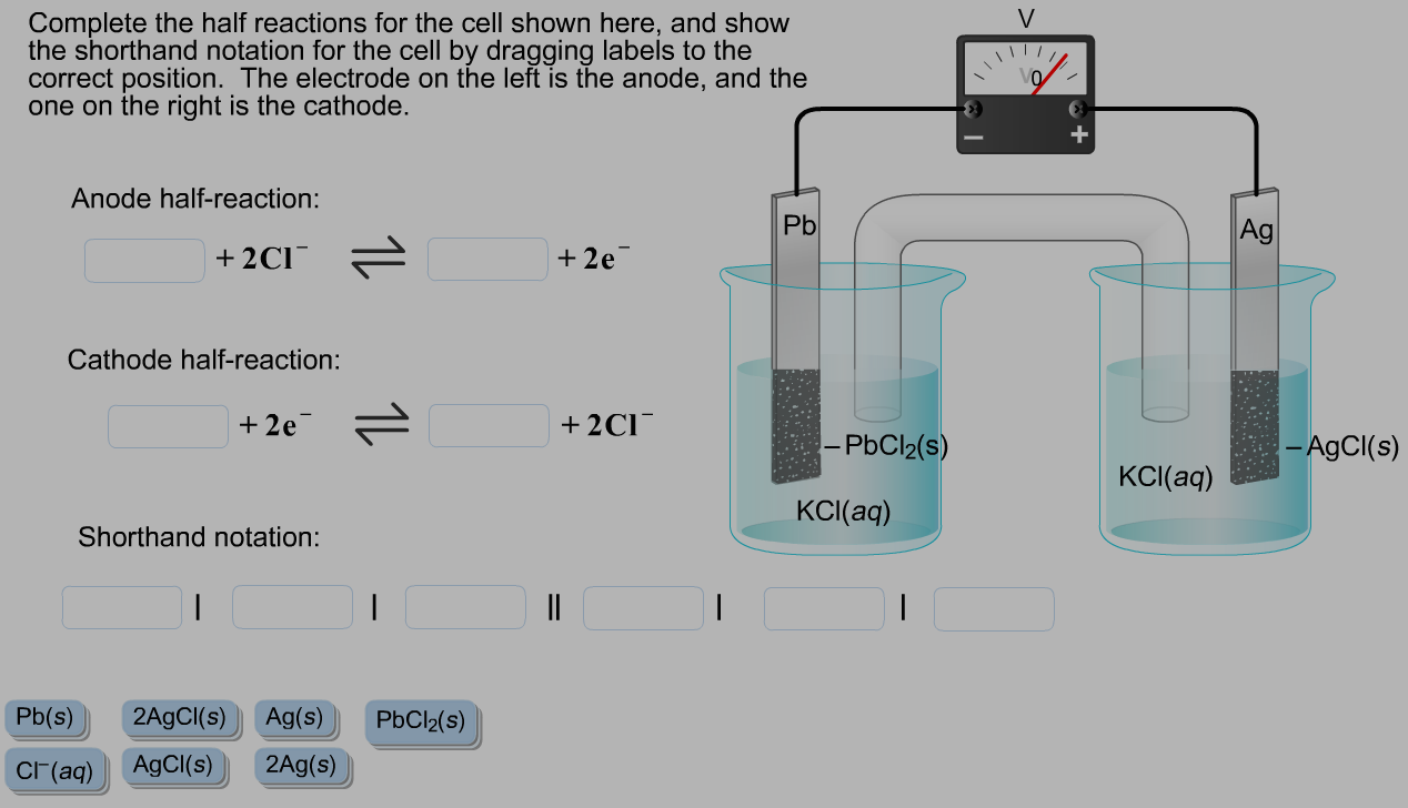 solved-complete-the-half-reactions-for-the-cell-shown-here-chegg