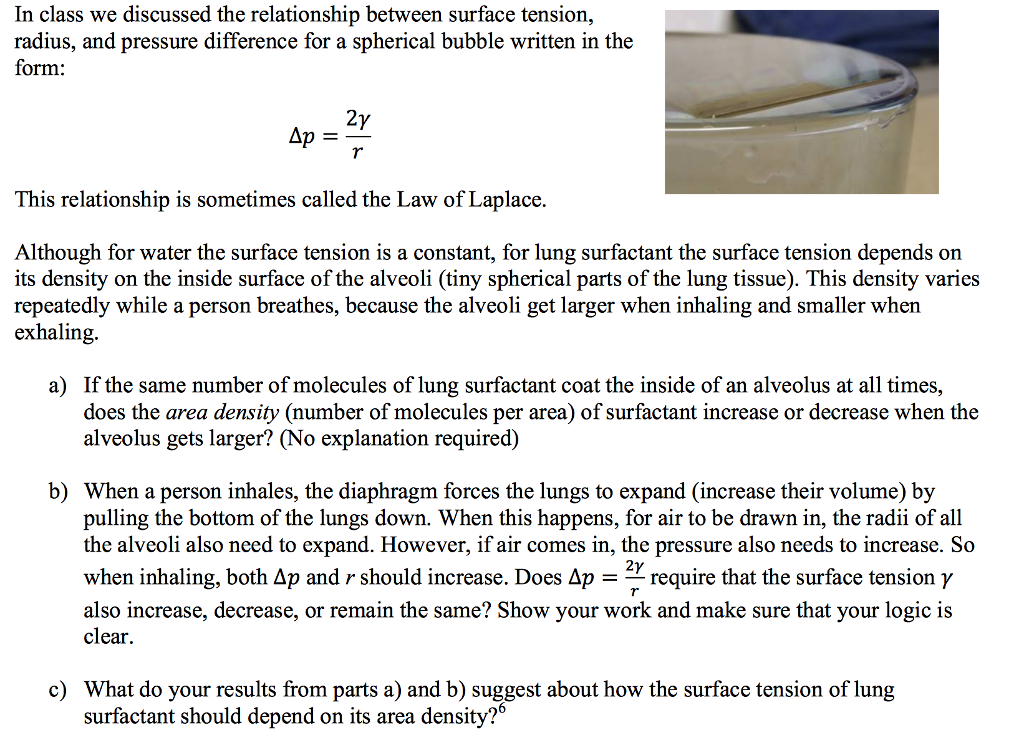 Solved In class we discussed the relationship between