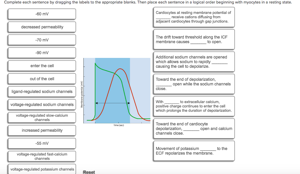 Solved Complete each sentence by dragging the labels to the | Chegg.com