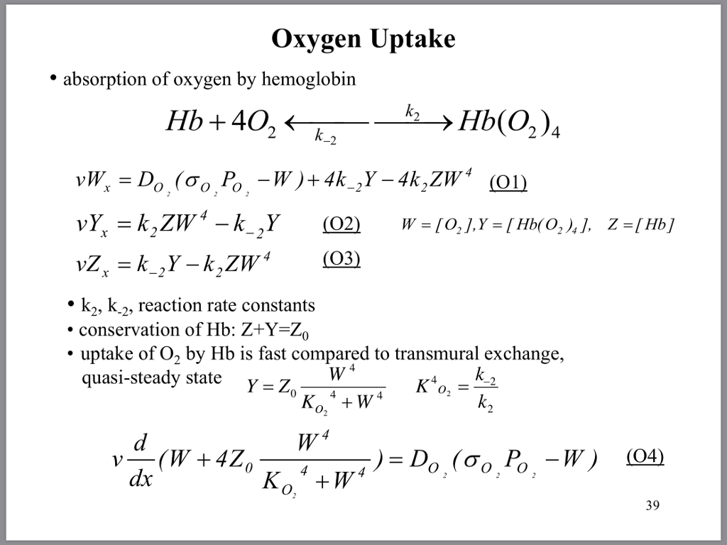 Oxygen Uptake * absorption of oxygen by hemoglobin