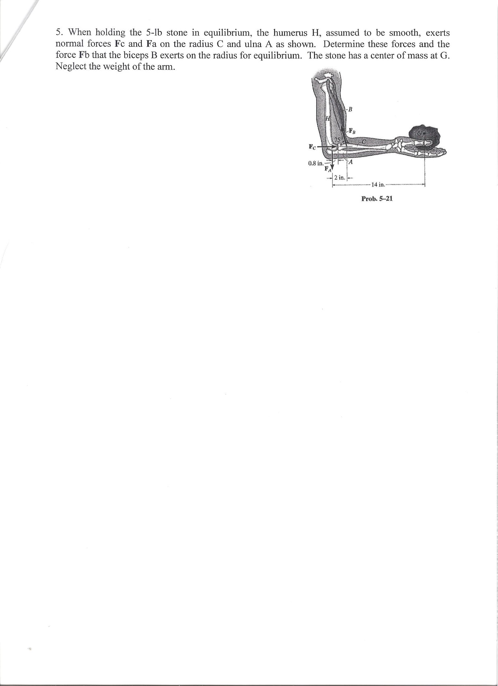 solved-when-holding-the-5-lb-stone-in-equilibrium-the-chegg