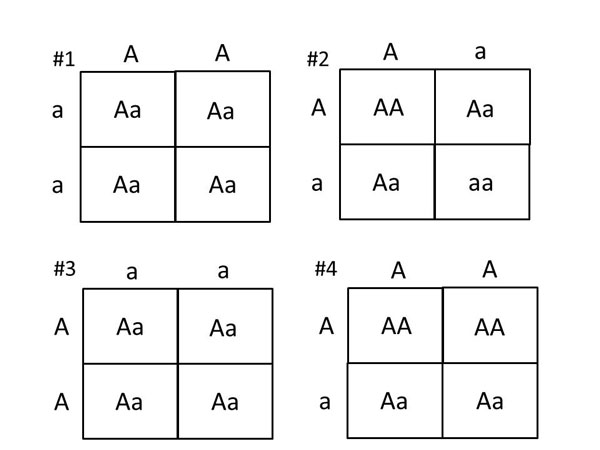 Solved a Al AAAa al Aa | aa aa A | Chegg.com