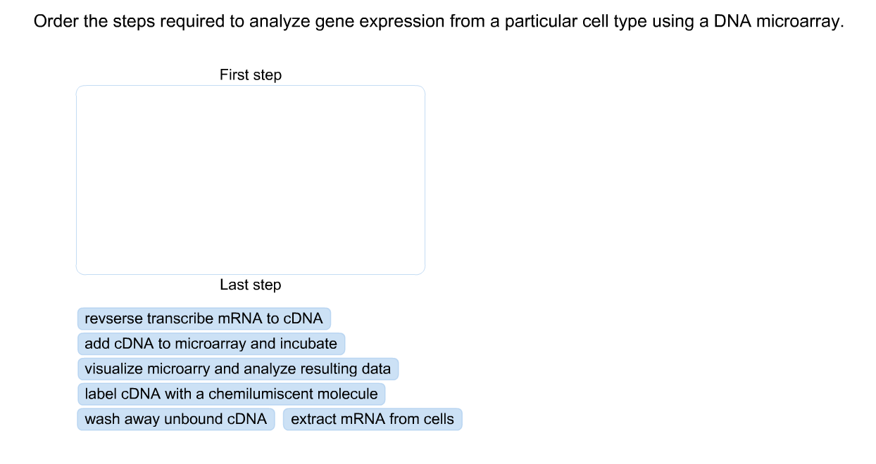 Solved Order the steps required to analyze gene expression