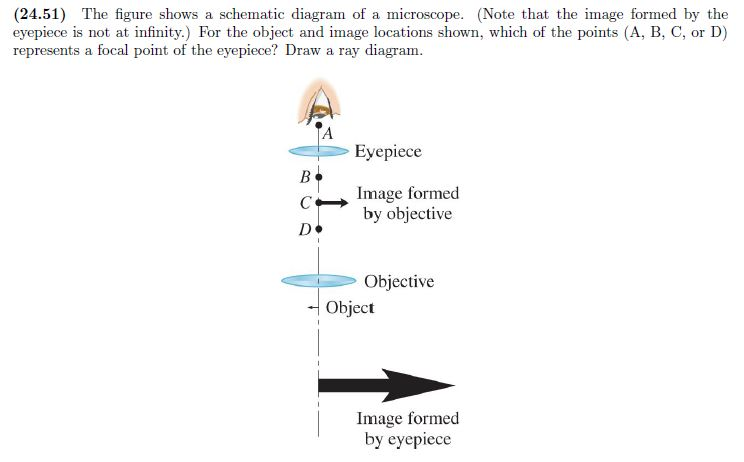 Solved (24.51) The figure shows a schematic diagram of a | Chegg.com