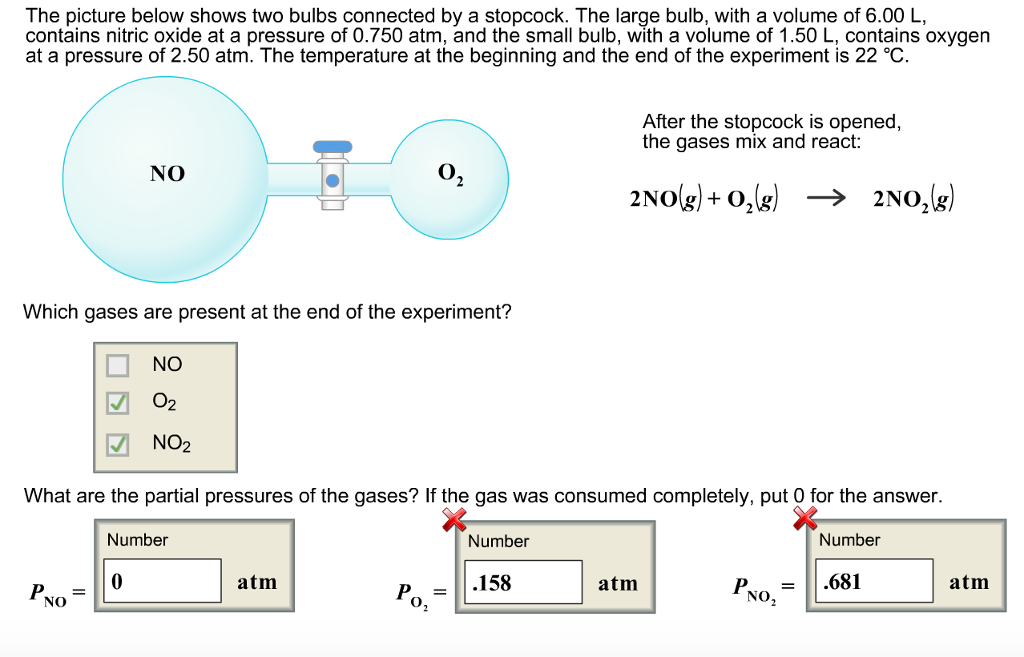 Solved The picture below shows two bulbs connected by a