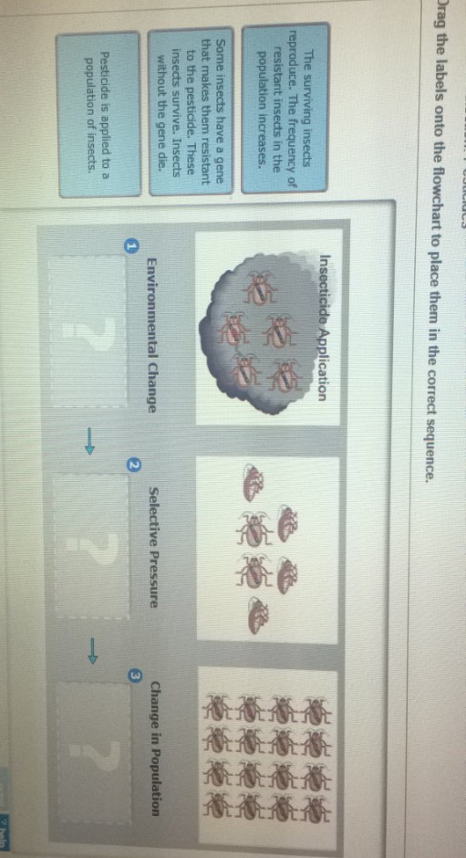 Solved Connecting The Concepts: Evidence Of Evolution Part A | Chegg.com