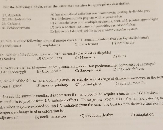 Solved For the following 4 phyla, enter the letter that | Chegg.com