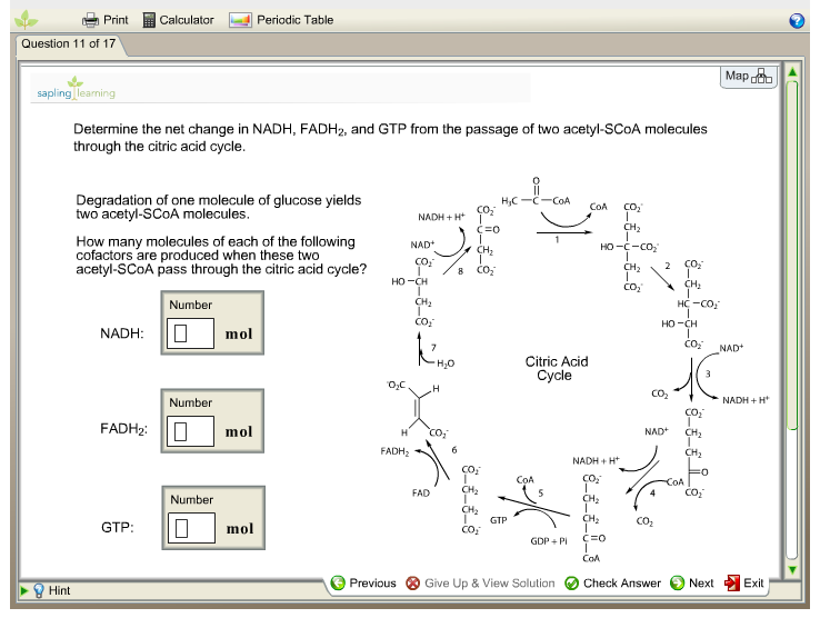 Determine The Net Change In Nadh Fadh2 And Gtp