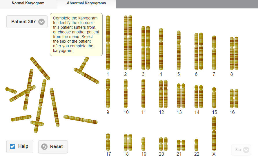 Solved Normal Karyogram Abnormal Karyograms Drag the | Chegg.com