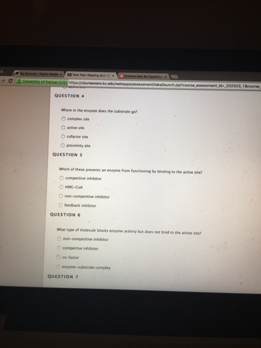 Solved QUESTION 1 What type of biomolecule is an enzyme? O