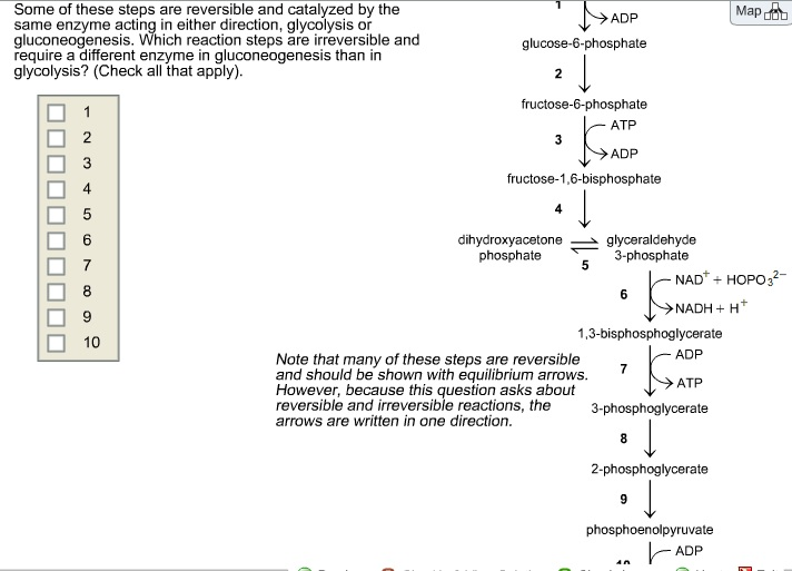 What Are The Irreversible Steps Of Glycolysis Slideshare 2292