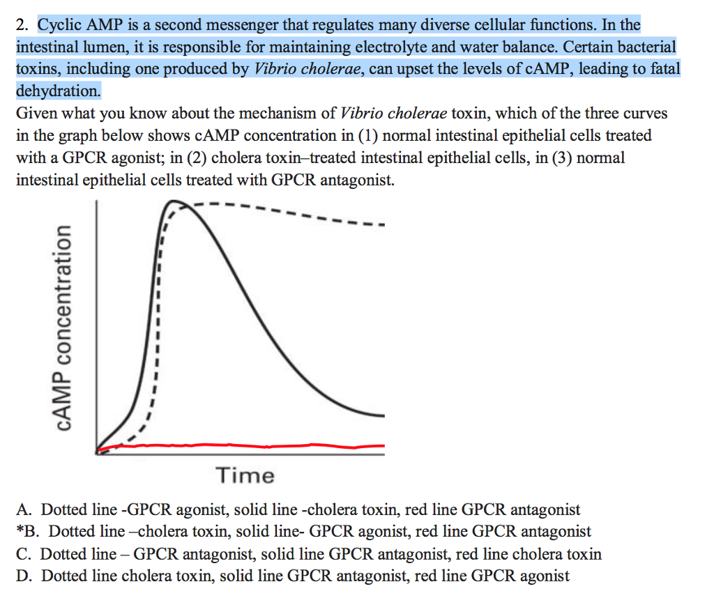 solved-2-cyclic-amp-is-a-second-messenger-that-regulates-chegg