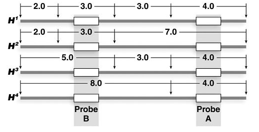 Solved Two Probes, A And B, Hybridize Very Near Each Other | Chegg.com