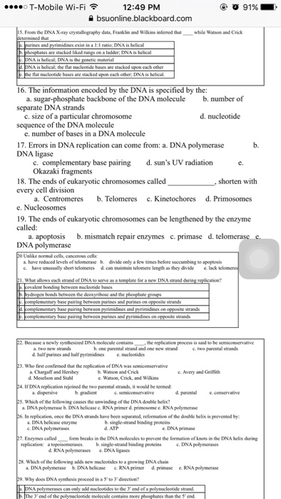 Solved The information encoded by the DNA is specified by | Chegg.com