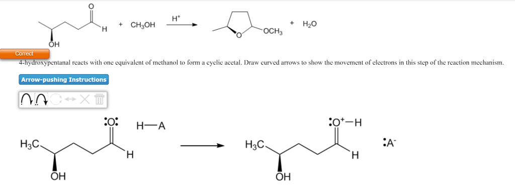 Solved +CH30H H2O OCH3 ydroxypentanal reacts with one | Chegg.com