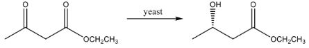 Solved OH 0 yeast OCH2CH3 OCH2CH3 | Chegg.com