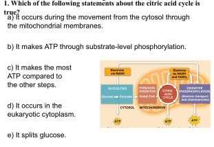 Solved Which Of The Following Statements About The Citric 