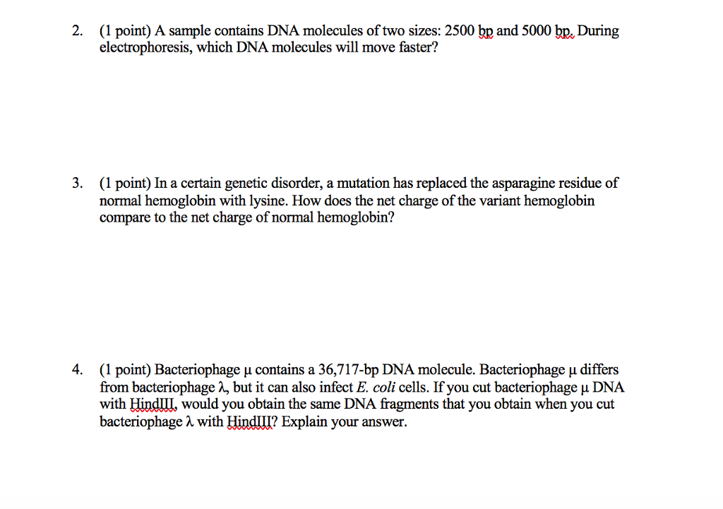 Solved 2. (1 Point) A Sample Contains Dna Molecules Of Two 