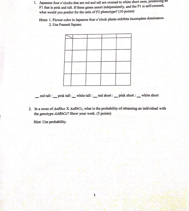 Solved Japanese four o'clocks that are red and tall are