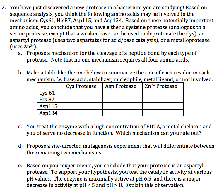 Solved You have just discovered a new protease in a | Chegg.com