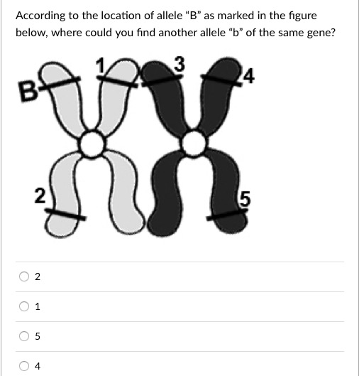 Solved Which statement is correct regarding the figure