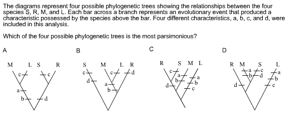 Solved The Diagrams Represent Four Possible Phylogenetic | Chegg.com