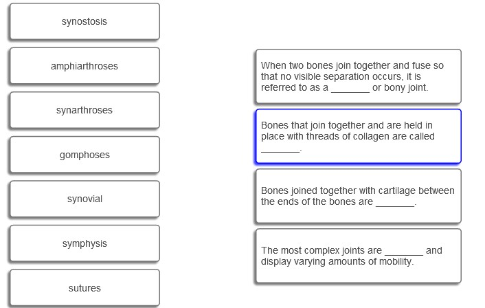 area where two or more bones join together