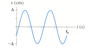 Solved What is the frequency of the oscillation shown | Chegg.com