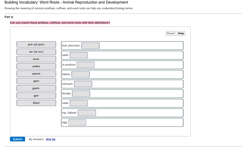 solved-building-vocabulary-word-roots-animal-reproduction-chegg