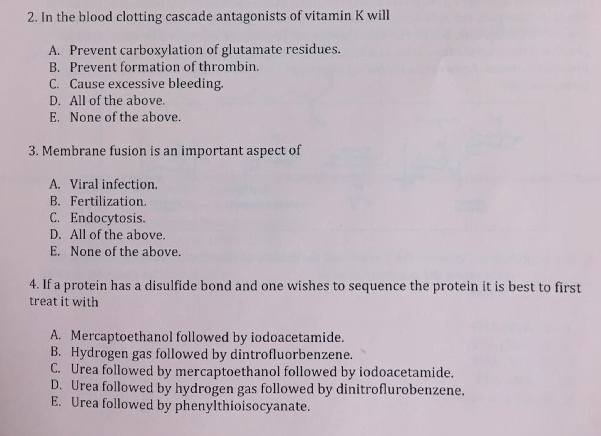 Does Vitamin D Affect Blood Clotting