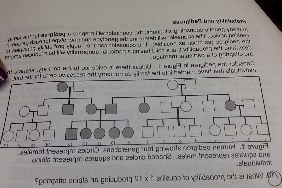 solved-in-many-genetic-counseling-situations-the-counselor-chegg