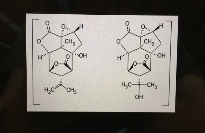 Solved CH3 ·CH OOH H2C CH OH | Chegg.com