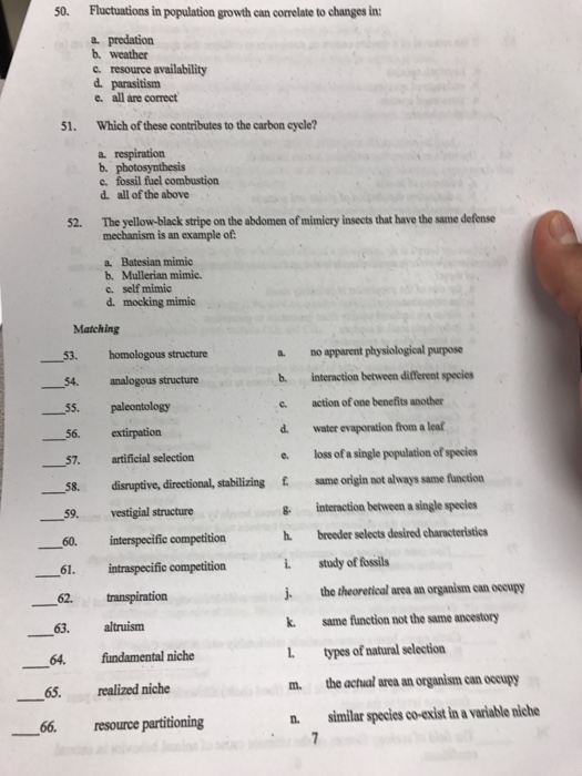 Pbs Video Series Evolution Worksheet Answer Key