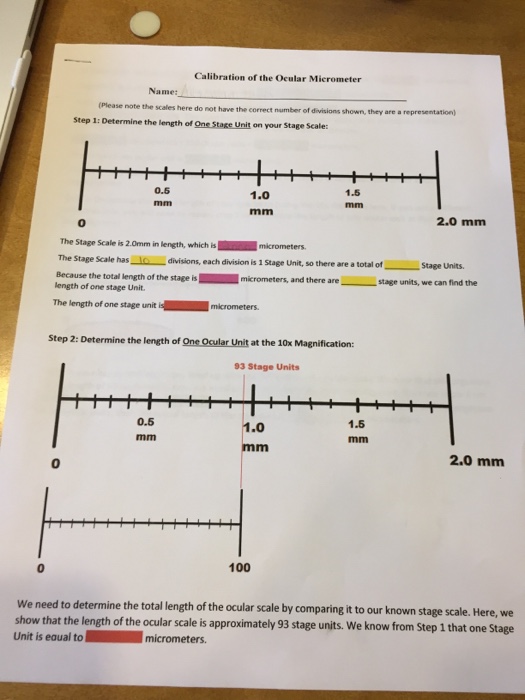 Solved Calibration of the Ocular Micrometer Name entation)