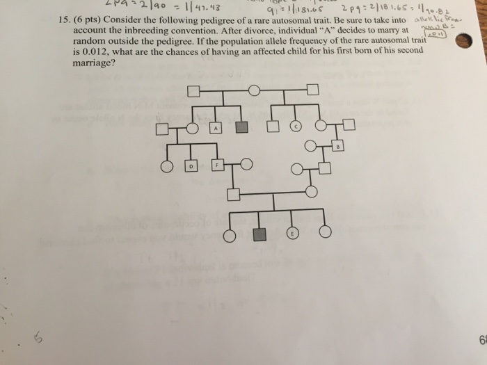 Solved Consider the following pedigree of a rare autosomal | Chegg.com