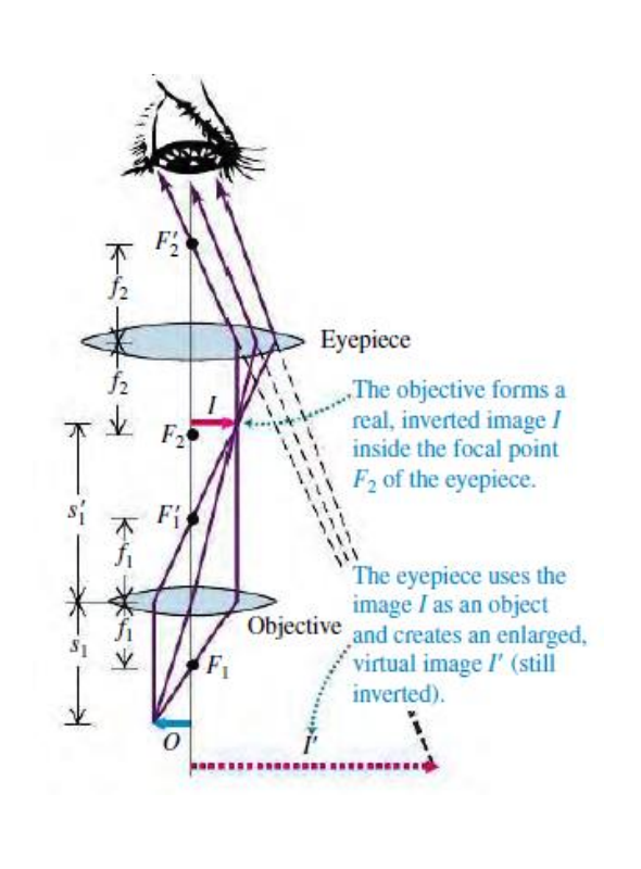 Solved A microscope is shown in the figure. The focal length