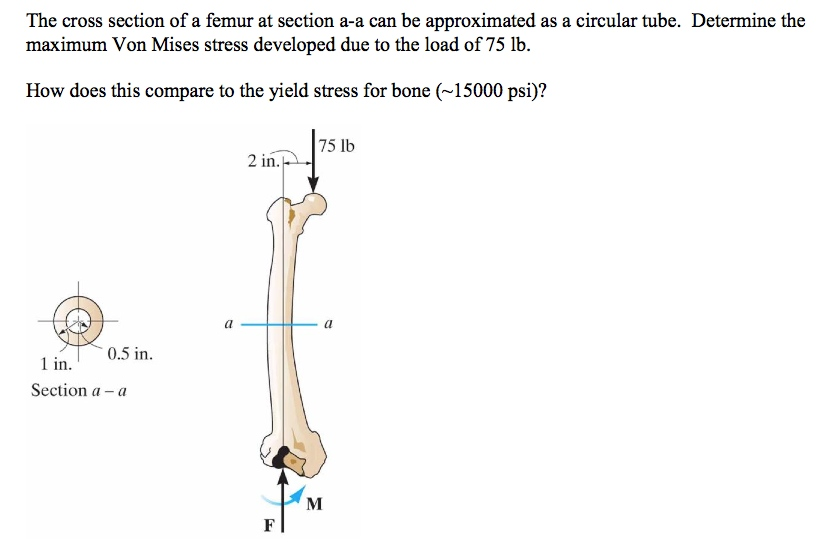 The cross section of a femur at section a-a can be | Chegg.com