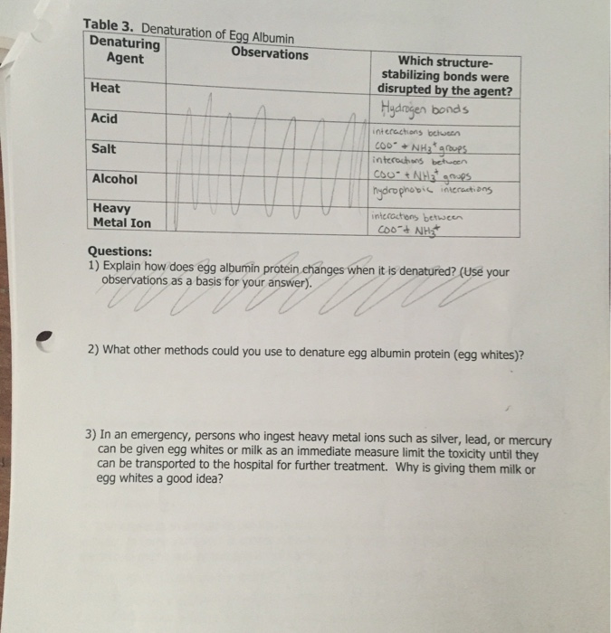 Solved Denaturation of Egg Albumin Questions Explain how