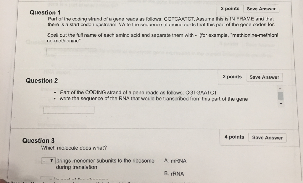 Solved 2 points Save Answer Question 1 Part of the coding | Chegg.com