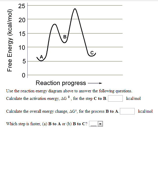 Solved Use the reaction energy diagram above to answer the | Chegg.com