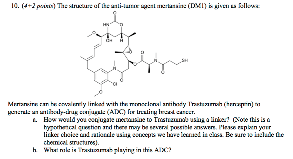 Trastuzumab Structure