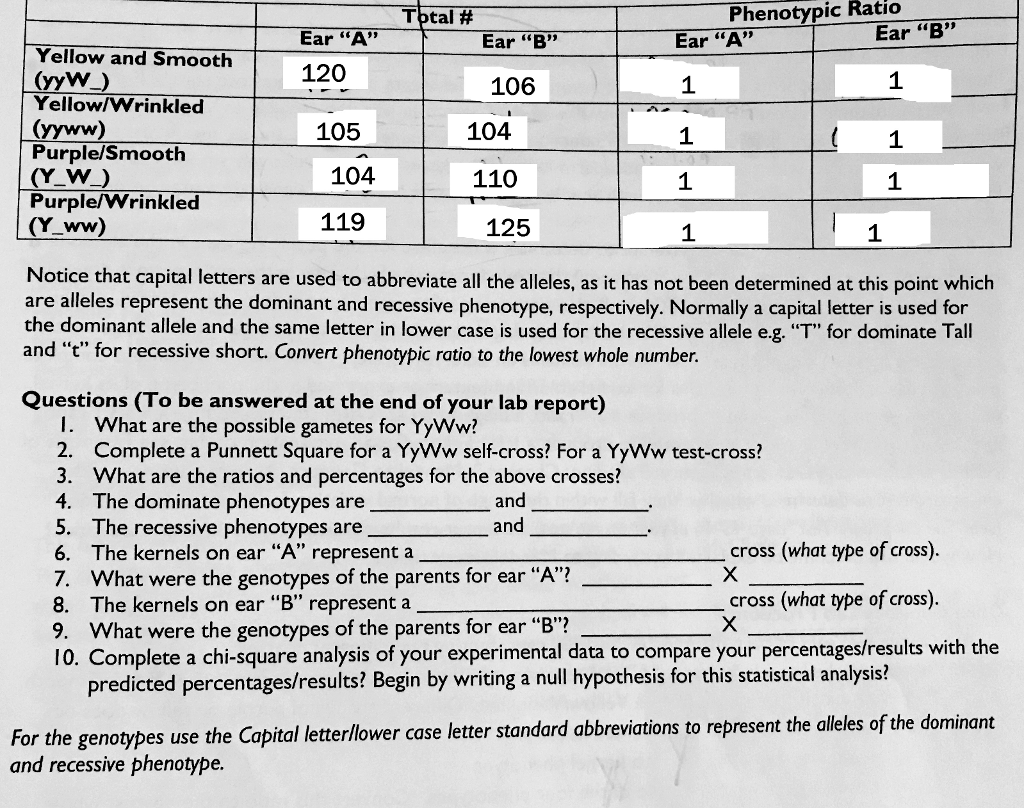 Solved This questions are for the Corn Lab. I
