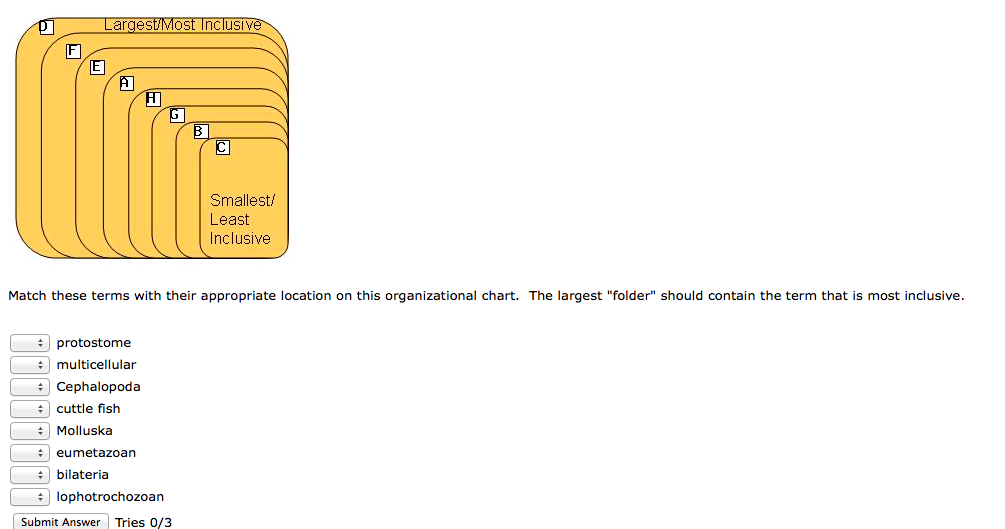 solved-biology-largest-most-inclusive-smallest-least-chegg