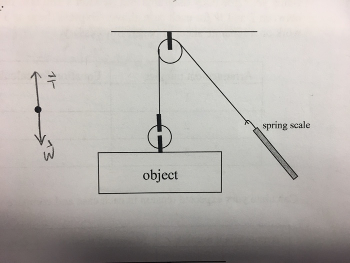 Solved Draw A Free Body Diagram For The Forces Acting On | Chegg.com