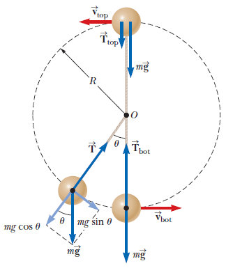 Solved A small sphere of mass m = 10.0 kg is attached to the | Chegg.com