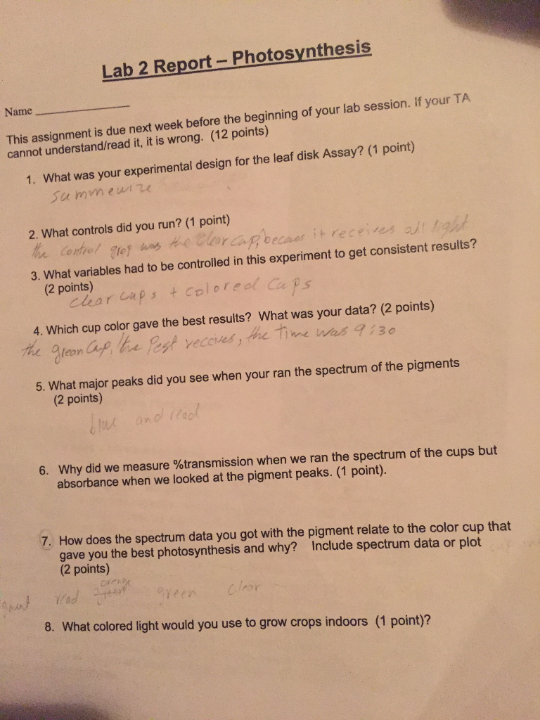 Leaf Structure Lab Answer Key